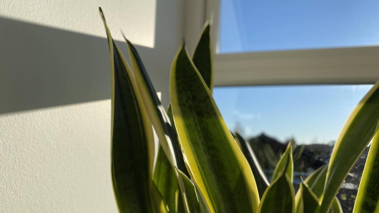 Villa Soholt - Silkeborg Bed And Breakfast Ngoại thất bức ảnh